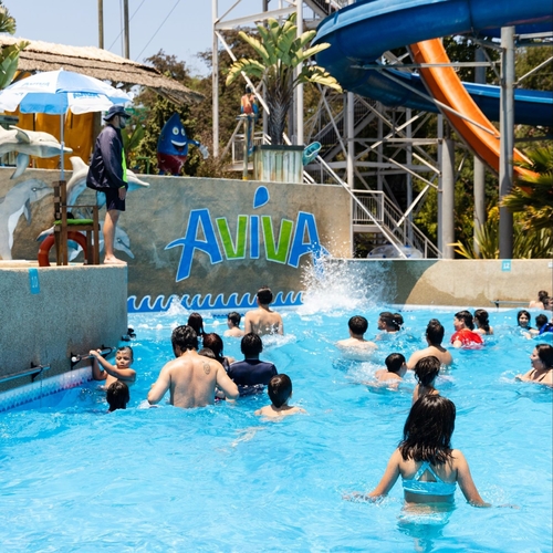 son şirket davası hakkında Şili Aviva Su Parkı
