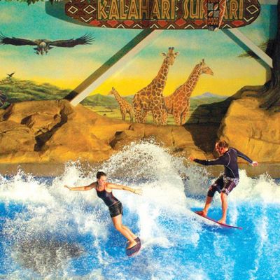 OEM Flowrider Sörf Simülatörü, 65kw Su Pompası ve Su Parkları İçin Yumuşak Güçlü PVC ile 15.3m*9.3m