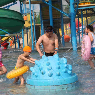 Fiberglass Water Playground Equipment Hedgehog Spray Aqua Play Fun For Kids