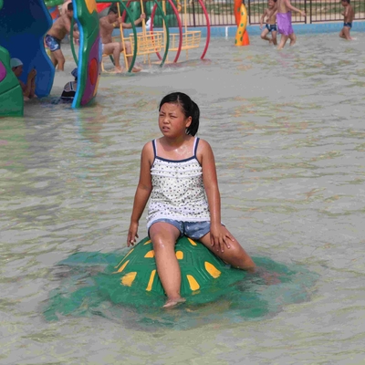 Custom Water turtle Aqua Play Water Playground , Spray Park Equipment For Kid water park