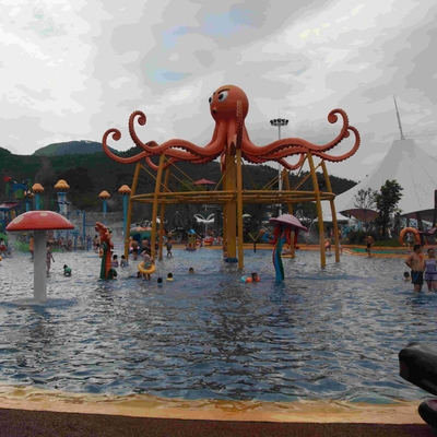 Colorful Octopus Water Playground Equipment 6100*6100*5000 For Family Recreation