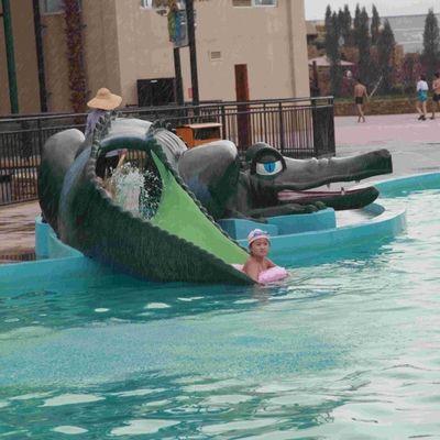 Kids' Small Water Pool Slides , Fun Water Park Fiberglass Crocodile Slide